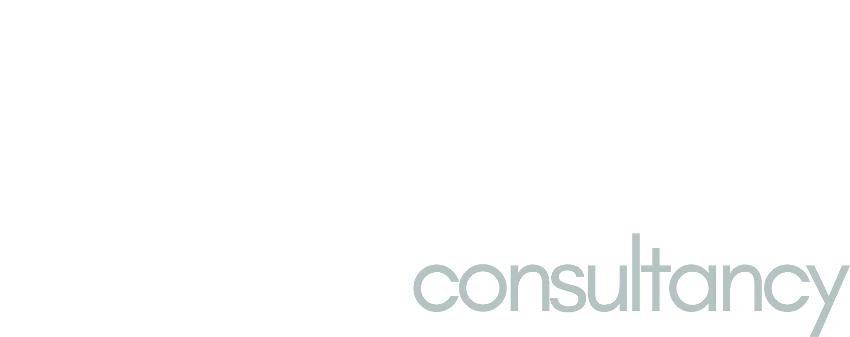 rev.B consultancy