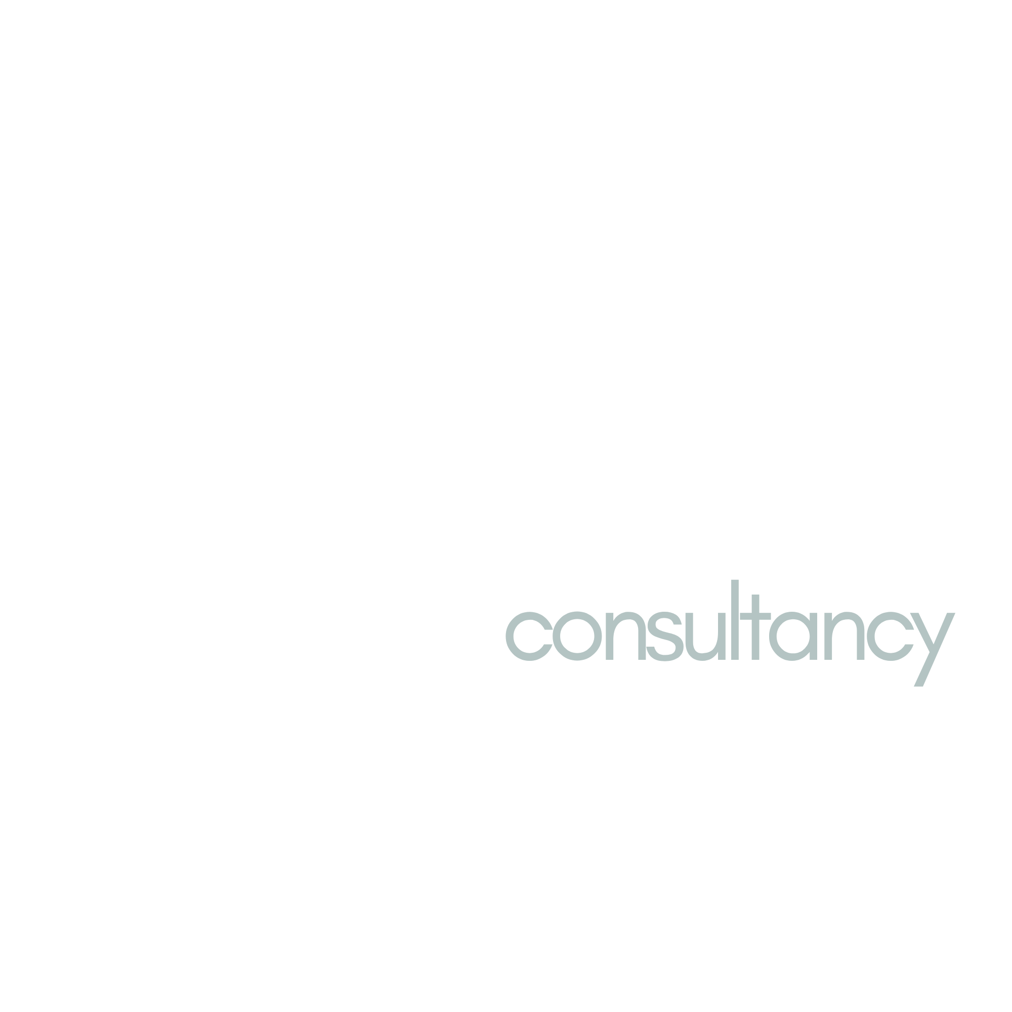 rev.B consultancy